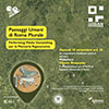 REPORT URBAN EXPERIENCE